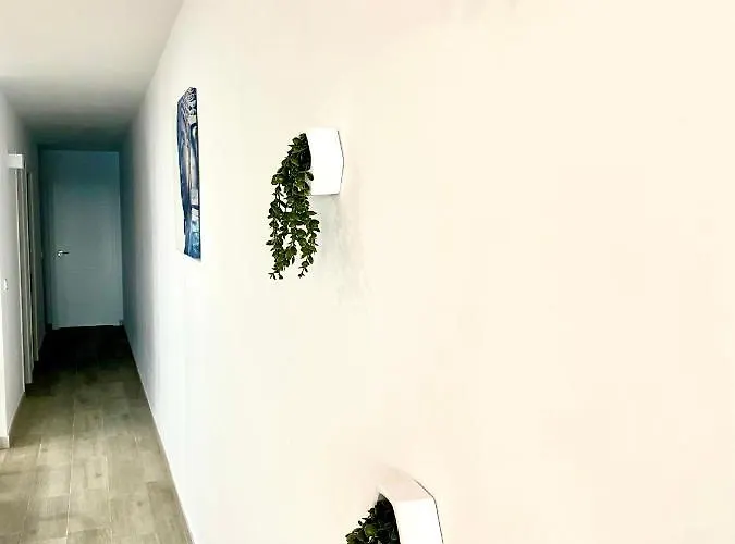 Blue House 1ª Linea Playa Torrevieja