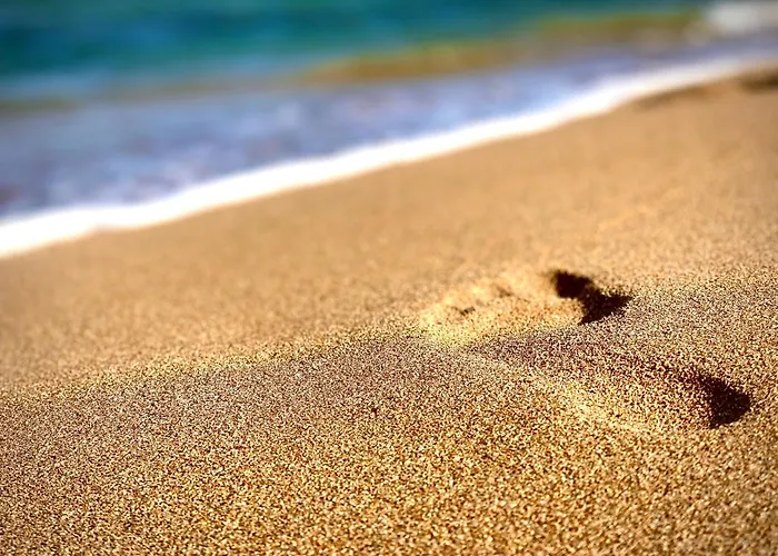 Blue House 1ª Linea Playa Lägenhet *