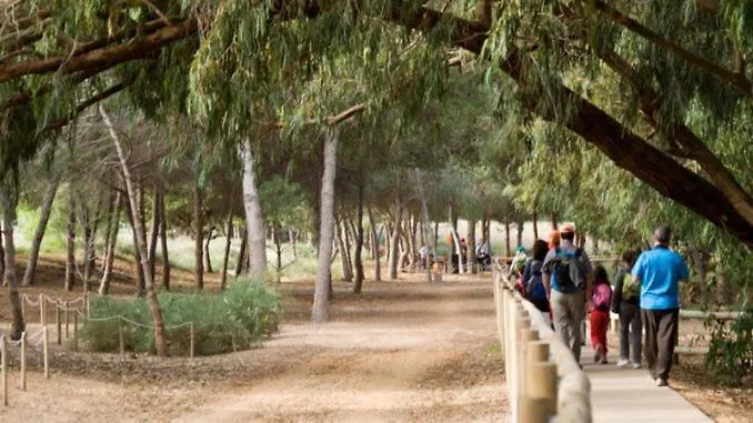 Blue House 1ª Linea Playa * Torrevieja