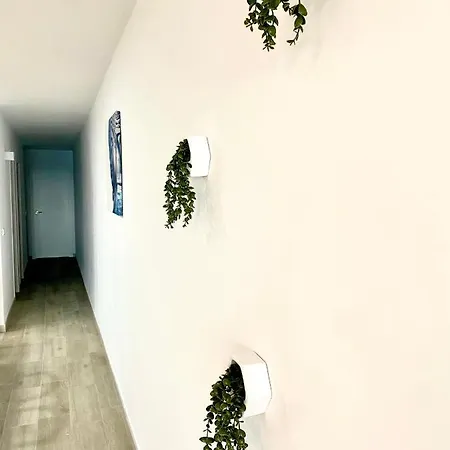 Blue House 1ª Linea Playa Torrevieja